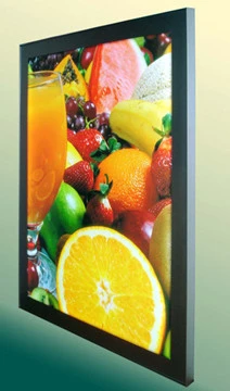 Back Lit <a href='/us/products/print?location=ca,beverlywood' title='Learn More About Print'>Print</a>
